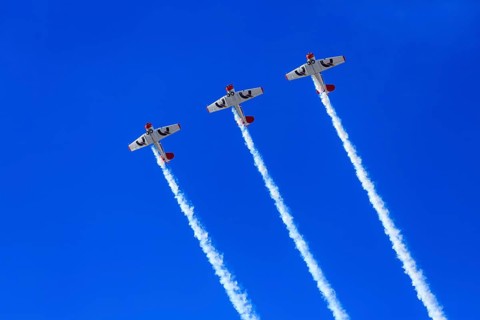 Aerobatic Team Flying Lions