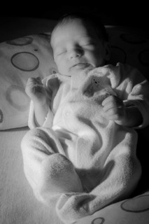 Baby