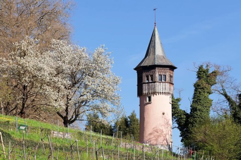 Sweden Tower in spring
