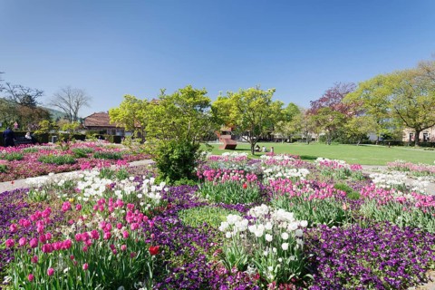 Public park