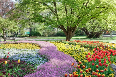 Spa garden