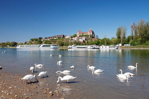 View over the Rhine toward Munsterberg with Munster St. Stephan