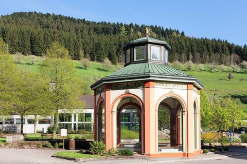 Mineral springs in the fountain temple at Bad Peterstal-Griesbach spa