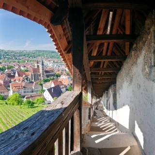 View from the castle towards the historic centre with town church of St. Dionysius