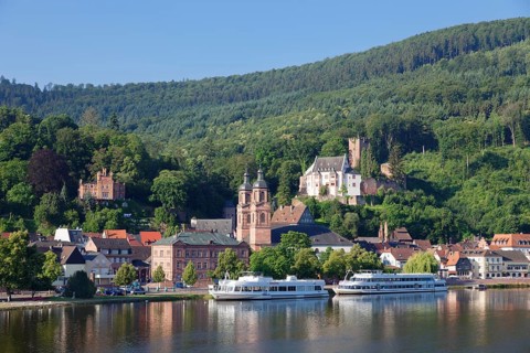 Mildenburg and Parish Church of St James