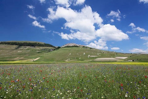 Castelluccio di Norcia