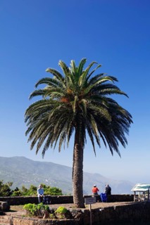 Mirador de la Tosca
