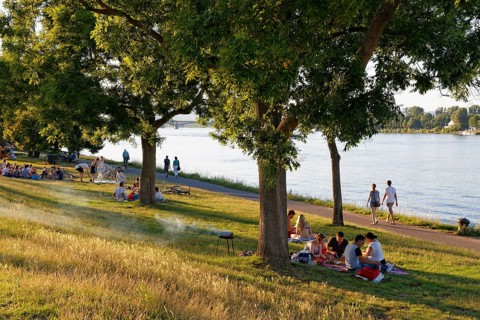 People having a barbecue on a summer evening on the bank of the river Rhine