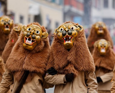 Lions of the Mengener Narrenzunft fool's guild