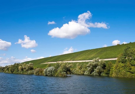 Vineyards along Main river