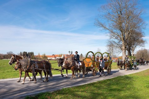 Leonhardi procession