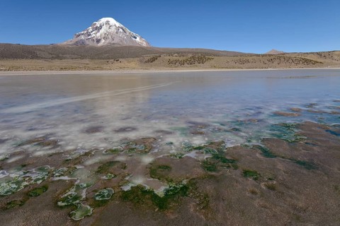 Sajama Volcano and frozen lake on Rio Sajama