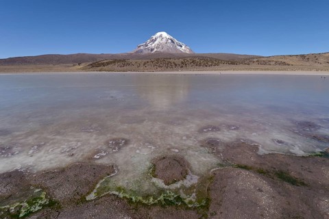 Sajama Volcano and frozen lake on Rio Sajama