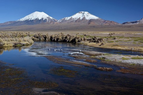 Snowcapped volcanoes Pomerape and Parinacota