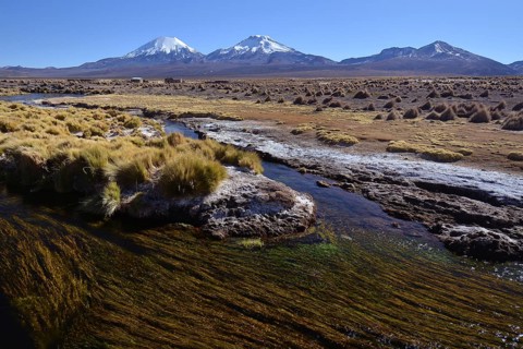 Snowcapped volcanoes Pomerape and Parinacota