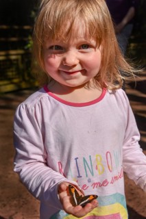 Little girl with a butterfly on her hand