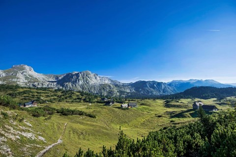 View of Mount Pfaffenstein