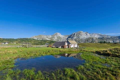View of Mount Pfaffenstein