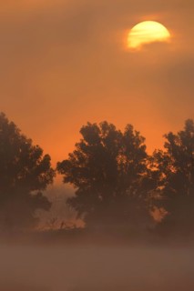 Morning atmosphere in the fog during sunrise