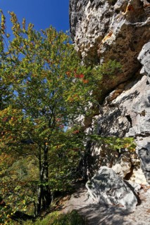 Sandstone cliffs