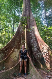 Young woman standing in front of a large forest giant in the jungle