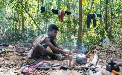 Young man of the Orang Asil tribe sitting on the floor in the jungle and making tea