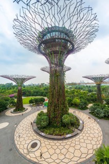 Supertrees