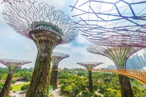 Supertrees