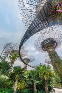 Supertrees