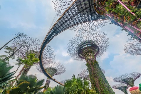 Supertrees