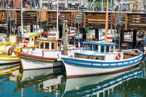 Fishing boats in the harbor
