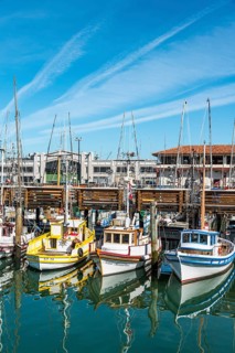 Fishing boats in the harbor