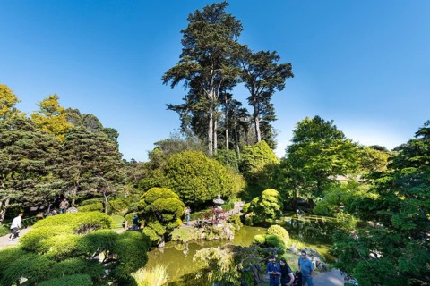 Japanese Tea Garden
