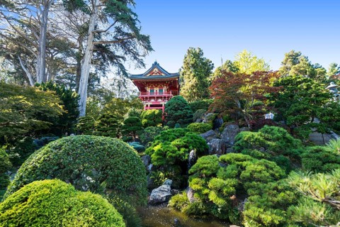 Japanese Tea Garden