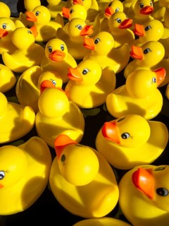 Rubber ducks