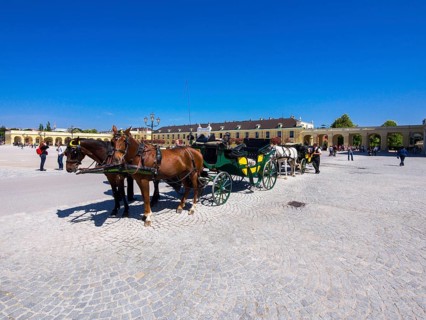 Horse-drawn carriage in front of Schonbrunn Palace
