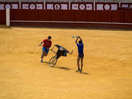 Toreros practicing bullfighting
