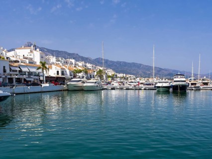 Marina with luxury yachts