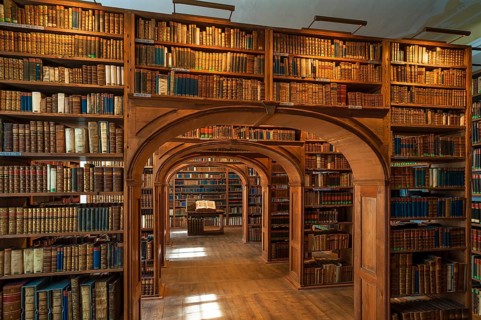 Oberlausitzer science library
