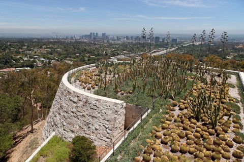 Cactus garden at the Getty Center