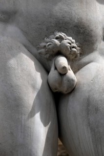 Penis