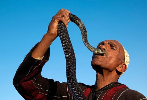 Entertainer holding snake