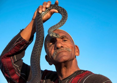 Entertainer holding snake