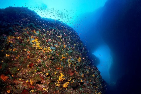 Underwater rocks