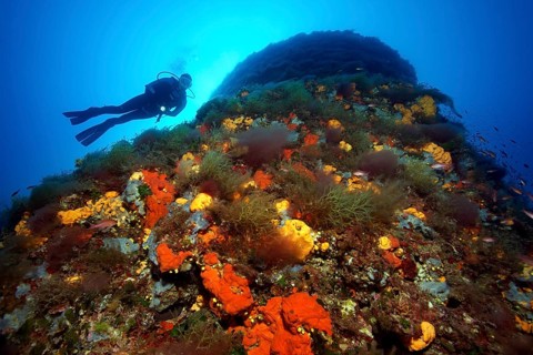Diver by a rock face