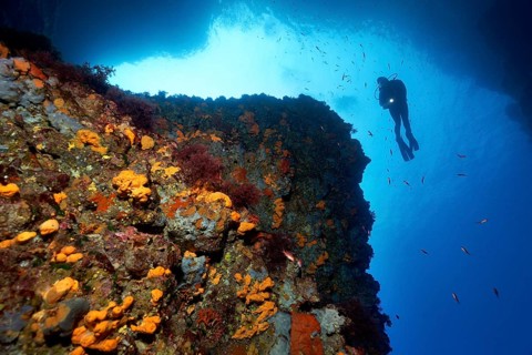 Diver by a steep rock face