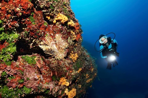 Diver with lamp