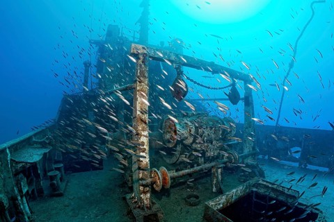 Shoal