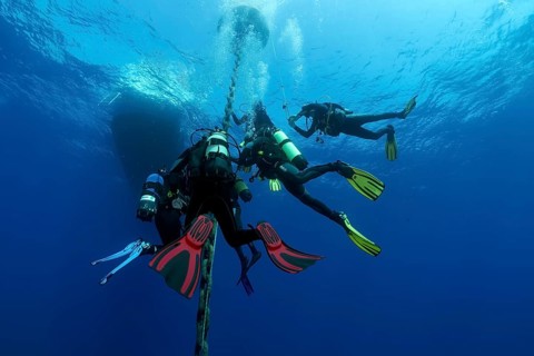 Group of divers after deep dive
