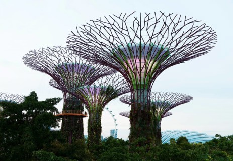 Supertrees in Singapore